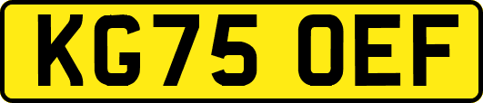 KG75OEF