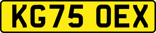 KG75OEX