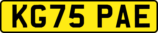 KG75PAE