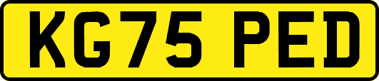 KG75PED