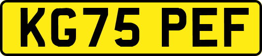 KG75PEF