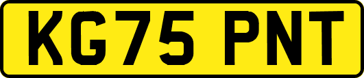 KG75PNT