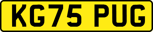 KG75PUG