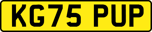 KG75PUP