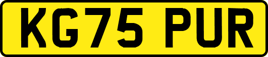 KG75PUR