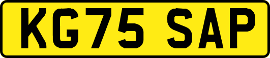 KG75SAP