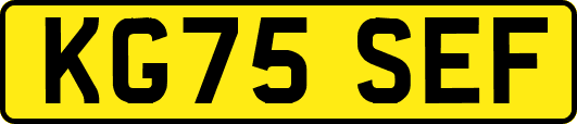 KG75SEF