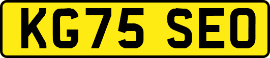KG75SEO