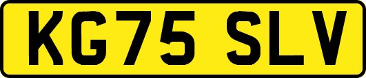 KG75SLV