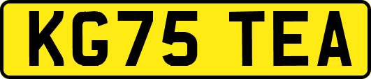 KG75TEA