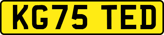 KG75TED