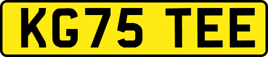 KG75TEE