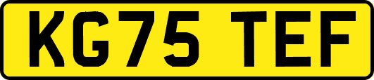 KG75TEF