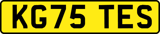 KG75TES
