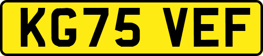 KG75VEF