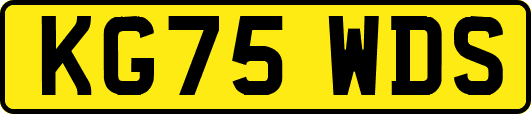 KG75WDS