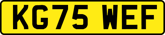 KG75WEF
