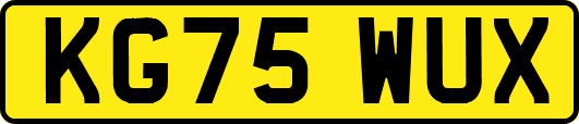 KG75WUX