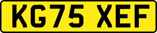 KG75XEF