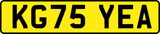KG75YEA