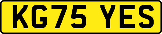 KG75YES