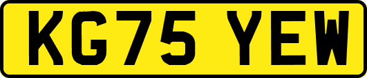 KG75YEW