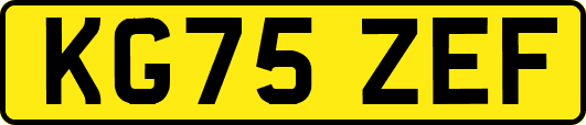 KG75ZEF