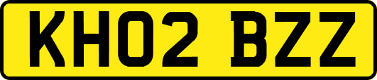 KH02BZZ