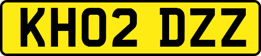 KH02DZZ