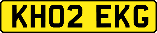 KH02EKG