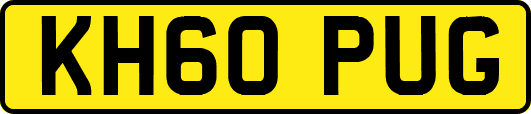 KH60PUG
