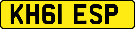 KH61ESP