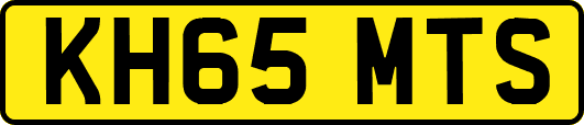 KH65MTS