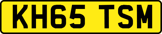 KH65TSM