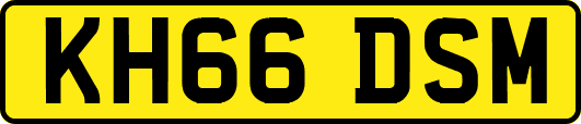 KH66DSM