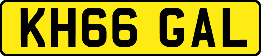 KH66GAL
