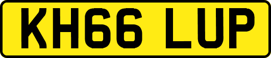 KH66LUP