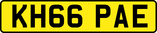 KH66PAE