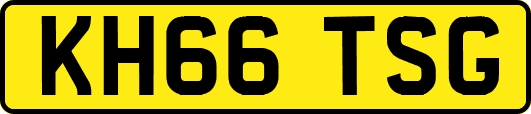 KH66TSG