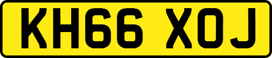 KH66XOJ
