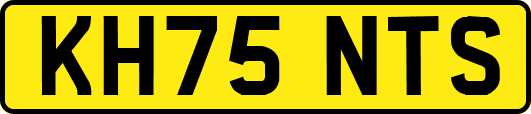 KH75NTS