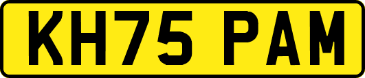 KH75PAM