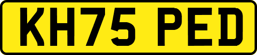 KH75PED