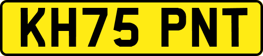 KH75PNT