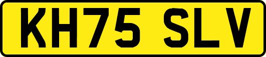 KH75SLV