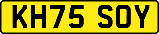 KH75SOY