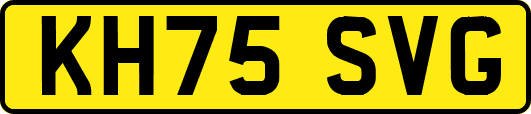 KH75SVG