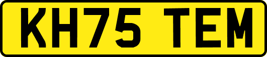 KH75TEM