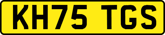 KH75TGS