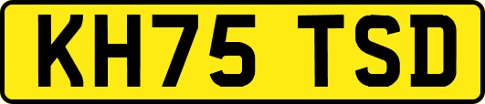 KH75TSD